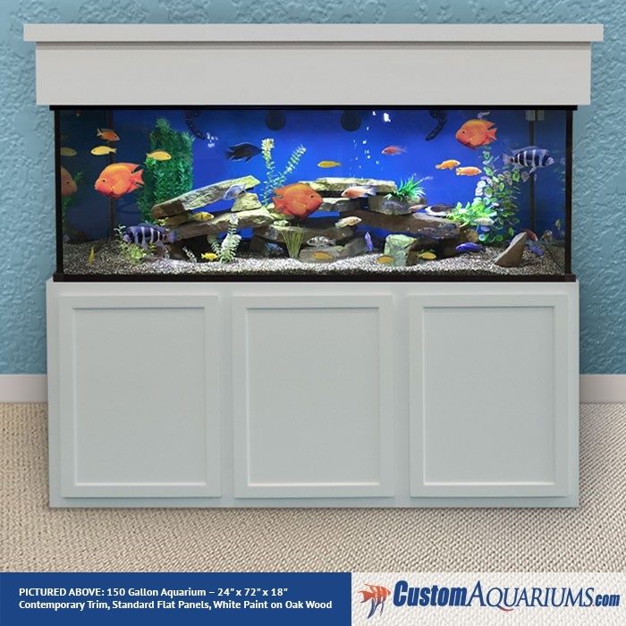 150 Gallon Aquarium Custom Glass Fish Tank Custom Aquariums Designed by our full time service experts. 150 gallon aquarium custom glass fish