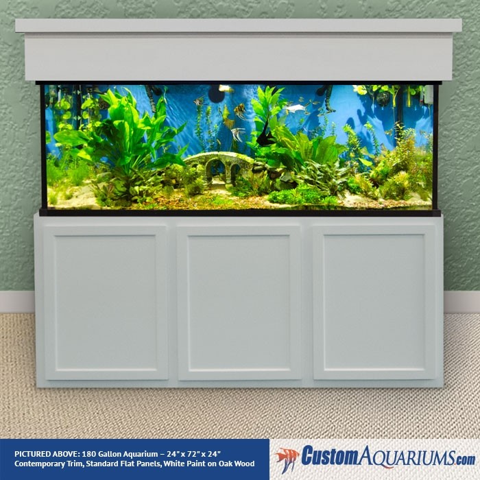 180 gallon aquarium custom glass fish
