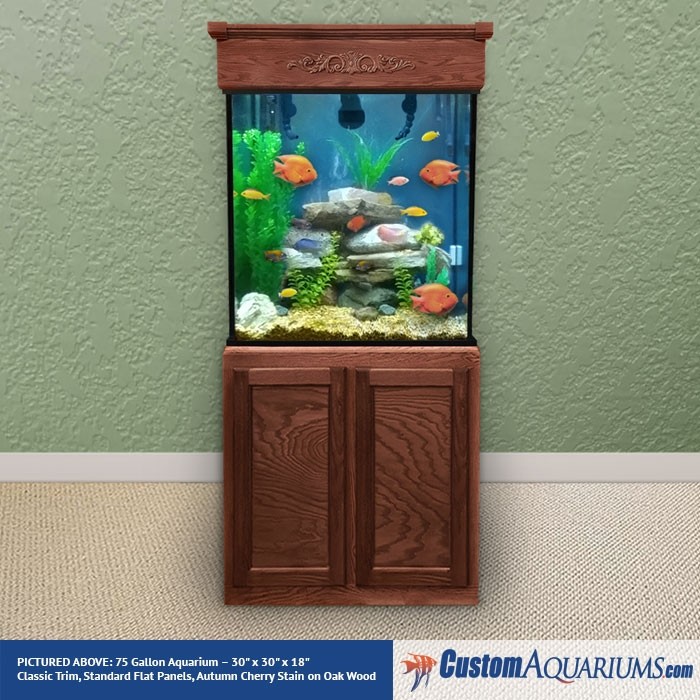 75 Gallon Aquarium Tall Glass Fish Tank Custom Aquariums