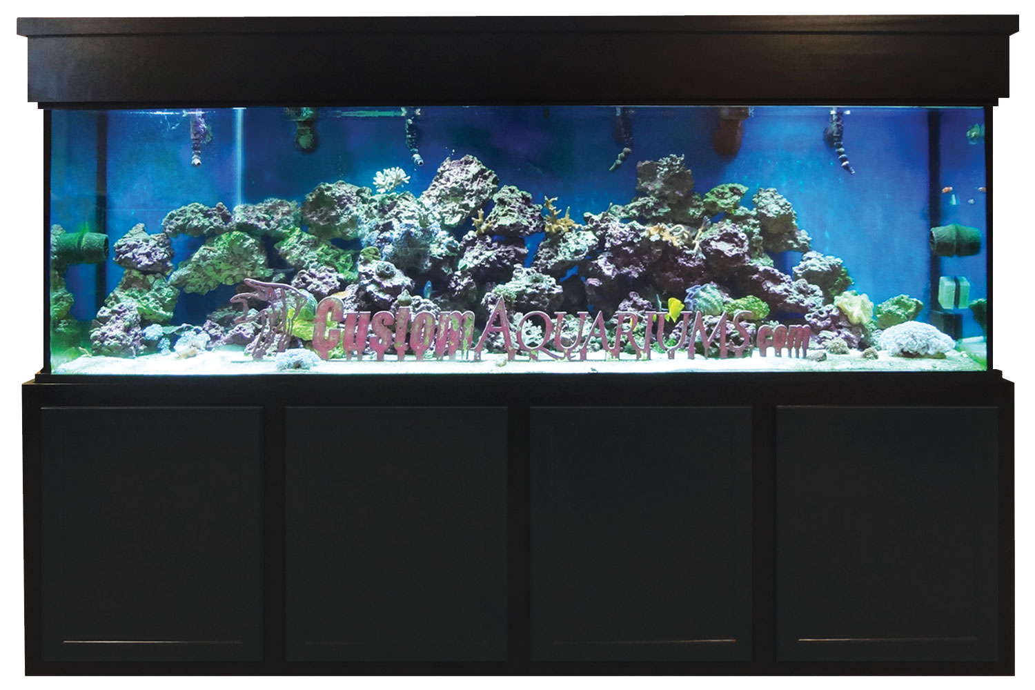 65 Gallon Aquarium Custom Glass Fish Tank Custom Aquariums