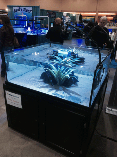 glass aquarium manufacturers