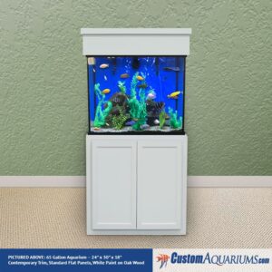 65 Gallon* Glass Aquarium - 24"H x 30"L x 18"D