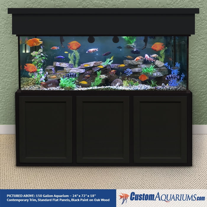 bevel Erfenis band 150 Gallon Fish Tank - Custom Glass Aquariums - Custom Aquariums