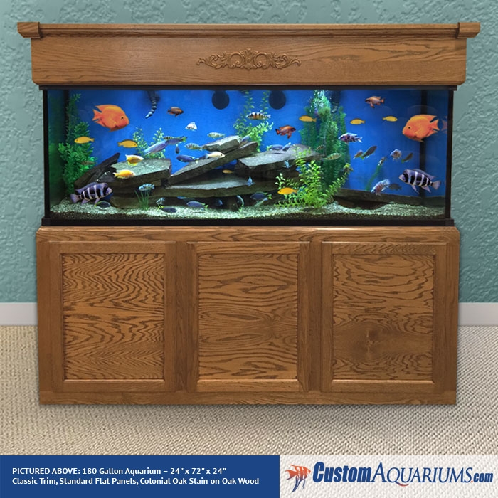 75 gallon aquarium complete setup
