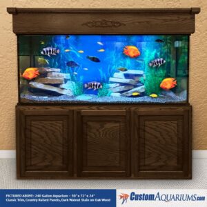 Drijvende kracht beton Voorwaarden Large Aquariums - Custom Big Fish Tanks - Custom Aquariums