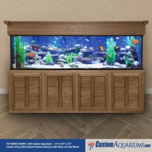 saltwater aquarium hawaii