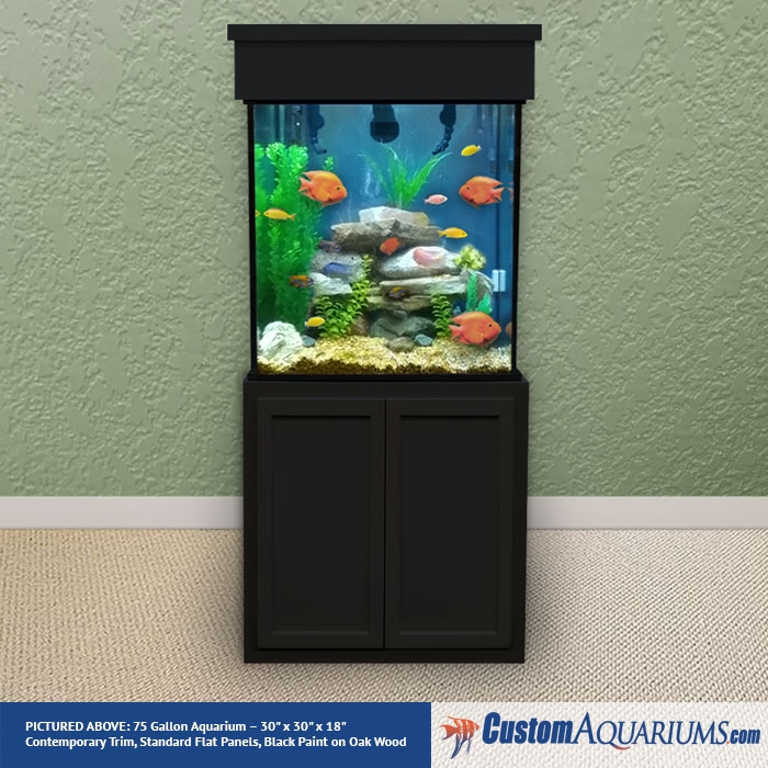 Haarvaten begaan Buitenshuis Tall 75 Gallon Aquarium - Tall Glass Fish Tank - Custom Aquariums