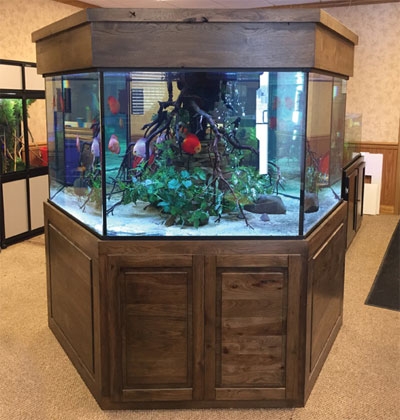 Aquariums For Nursing Homes, Nursing Home Fish Tanks - Custom