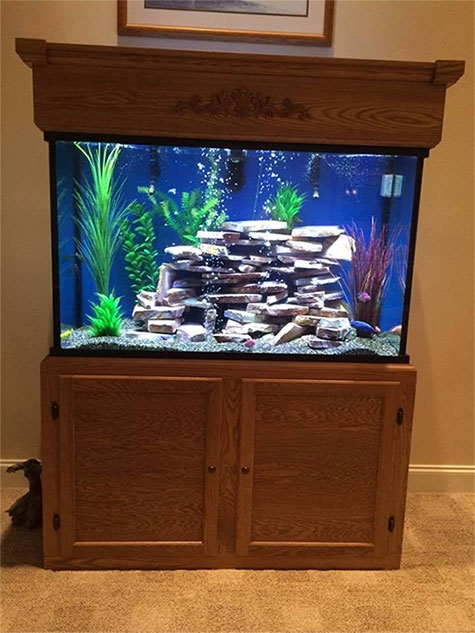 thermometer Vertrek varkensvlees Aquariums For Retirement Homes, Retirement Home Fish Tanks - Custom  Aquariums