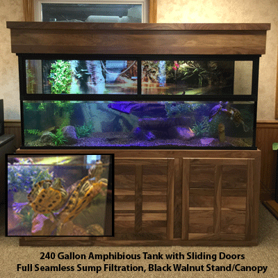 Half Land - Half Water Aquariums - Custom Aquariums