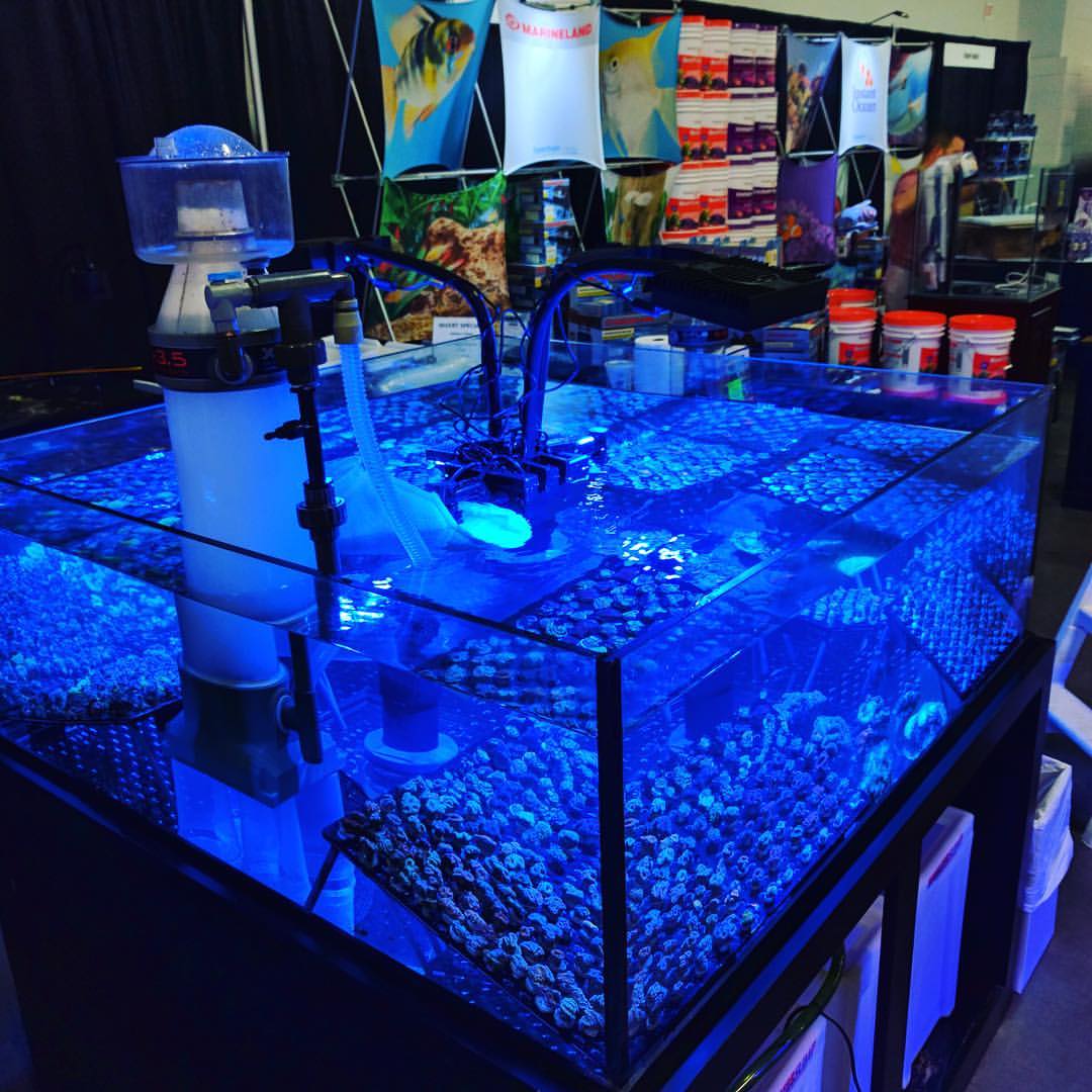 Rimless Aquariums Custom Aquariums