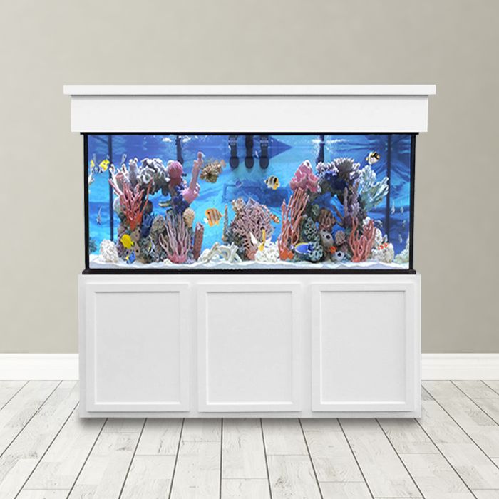 240 Gallon Saltwater Aquarium - Custom Glass Fish Tank - Custom