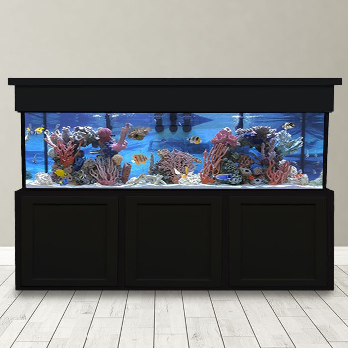 280 Gallon Saltwater Aquarium - Custom Glass Fish Tank - Custom Aquariums