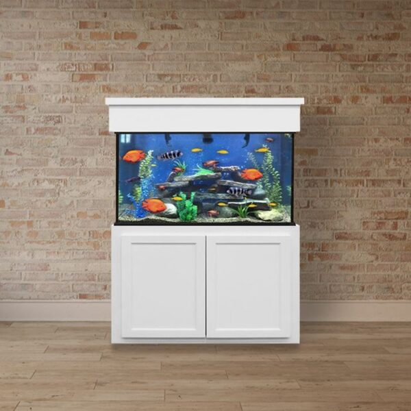 100 Gallon Glass Custom Aquarium - White Paint on Hardwood - Contemporary Trim with Flat Door Panels