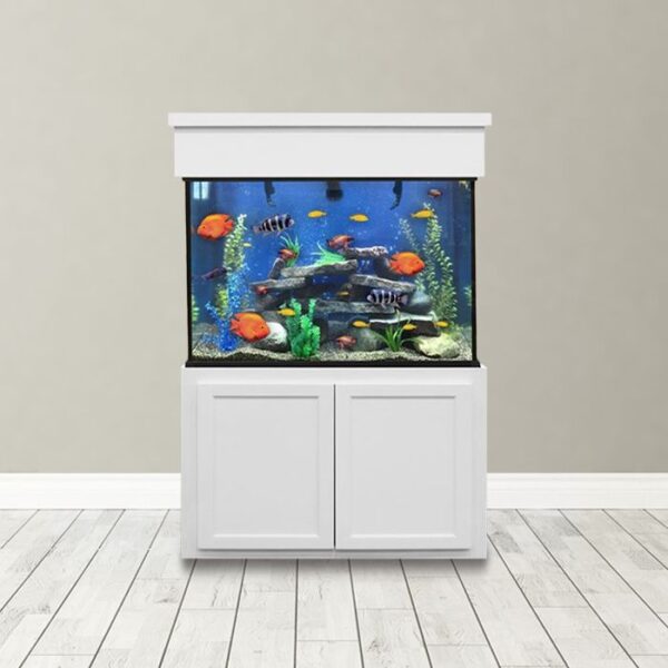 150 Gallon Tall Aquarium Custom Glass Fish Tank Custom Aquariums