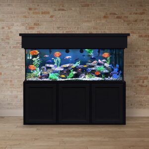 150 Gallon Wide Custom Glass Aquarium - Black Paint on Hardwood - Contemporary Trim with Flat Door Panels