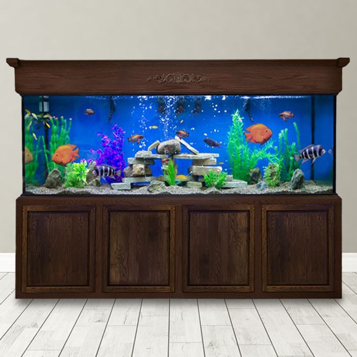 Freshwater Aquarium Decorations - Personalized Aquarium Decoration Ideas