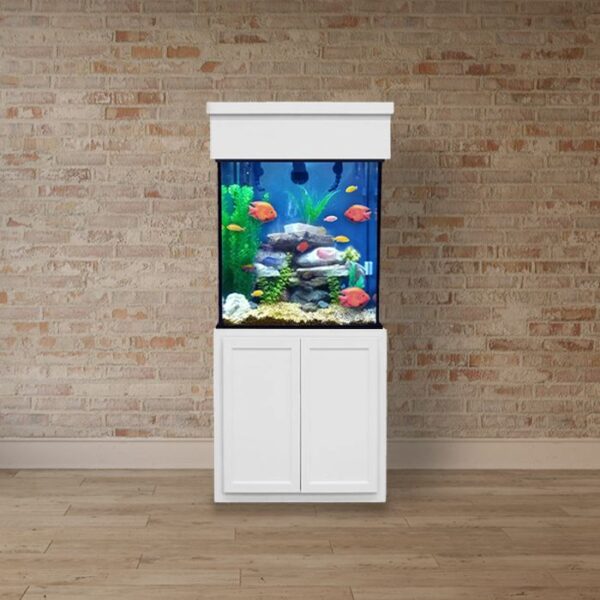 Tall 75 Gallon Aquarium Tall Glass Fish Tank Custom Aquariums